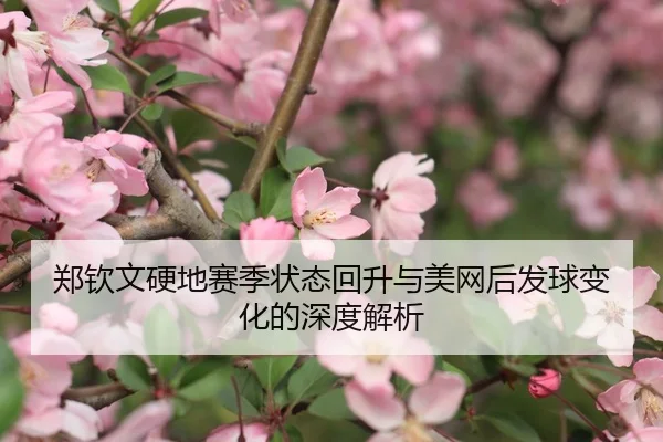 郑钦文硬地赛季状态回升与美网后发球变化的深度解析