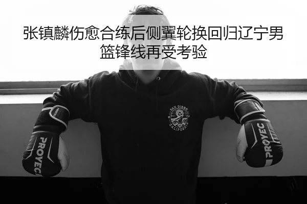 张镇麟伤愈合练后侧翼轮换回归辽宁男篮锋线再受考验